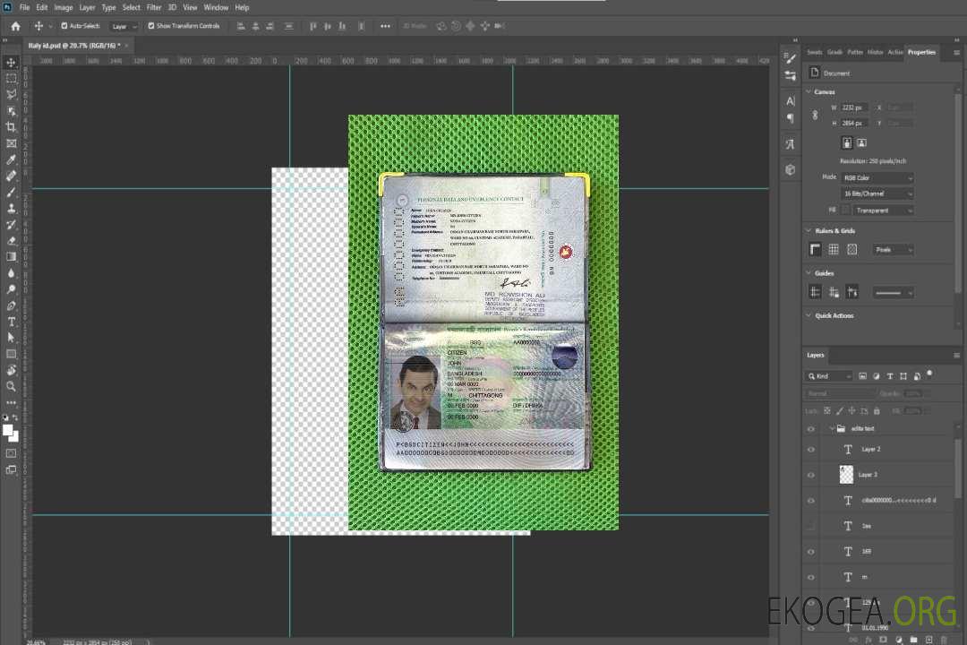Aperçu photo du passeport du Bangladesh (2013-2019) template
